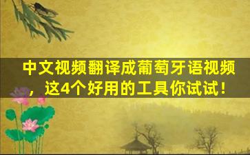 中文视频翻译成葡萄牙语视频，这4个好用的工具你试试！