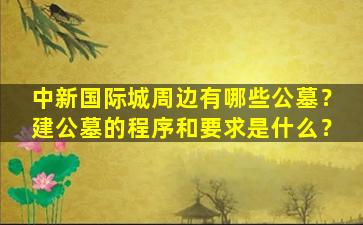 中新国际城周边有哪些公墓？建公墓的程序和要求是什么？