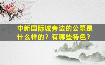 中新国际城旁边的公墓是什么样的？有哪些特色？