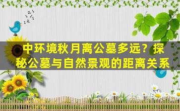 中环境秋月离公墓多远？探秘公墓与自然景观的距离关系