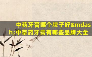 中药牙膏哪个牌子好—中草药牙膏有哪些品牌大全
