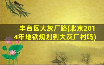 丰台区大灰厂路(北京2014年地铁规划到大灰厂村吗)