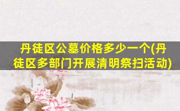丹徒区公墓价格多少一个(丹徒区多部门开展清明祭扫活动)