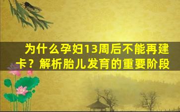 为什么孕妇13周后不能再建卡？解析胎儿发育的重要阶段