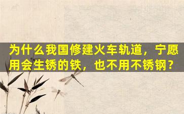 为什么我国修建火车轨道，宁愿用会生锈的铁，也不用不锈钢？