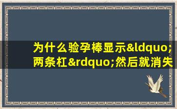 为什么验孕棒显示“两条杠”然后就消失了？看看这个你是否怀孕了