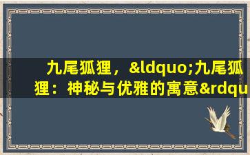 九尾狐狸，“九尾狐狸：神秘与优雅的寓意”