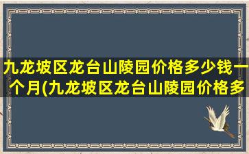 九龙坡区龙台山陵园价格多少钱一个月(九龙坡区龙台山陵园价格多少钱一平)
