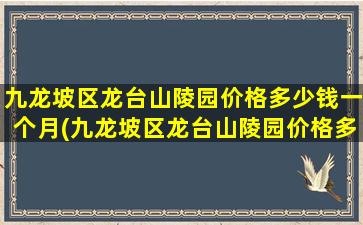 九龙坡区龙台山陵园价格多少钱一个月(九龙坡区龙台山陵园价格多少钱一平)