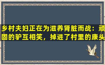 乡村夫妇正在为滋养肾脏而战：顽固的驴互相笑，掉进了村里的康头