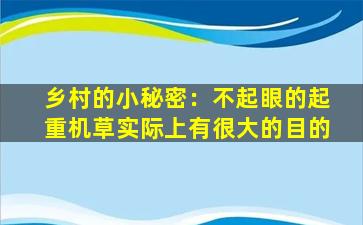 乡村的小秘密：不起眼的起重机草实际上有很大的目的