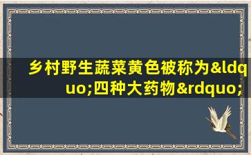 乡村野生蔬菜黄色被称为“四种大药物”中的第一个。它有这些食用方式，并且有太多的好处。