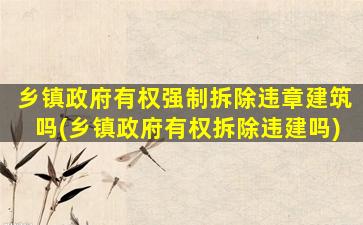 乡镇政府有权强制拆除违章建筑吗(乡镇政府有权拆除违建吗)