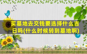 买墓地去交钱要选择什么吉日吗(什么时候转到墓地啊)
