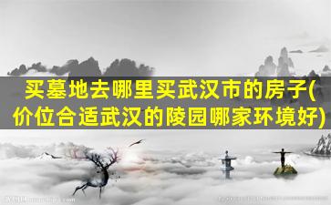 买墓地去哪里买武汉市的房子(价位合适武汉的陵园哪家环境好)