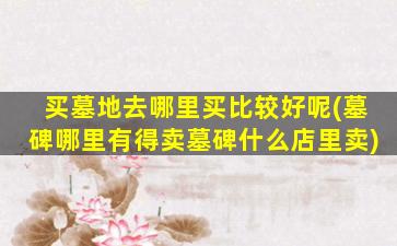 买墓地去哪里买比较好呢(墓碑哪里有得卖墓碑什么店里卖)