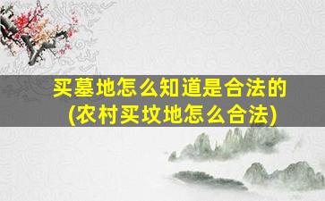 买墓地怎么知道是合法的(农村买坟地怎么合法)