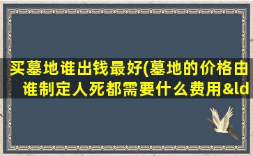 买墓地谁出钱最好(墓地的价格由谁制定人死都需要什么费用“阴阳先生”是否属于诈骗)