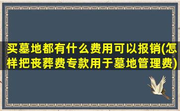 买墓地都有什么费用可以报销(怎样把丧葬费专款用于墓地管理费)