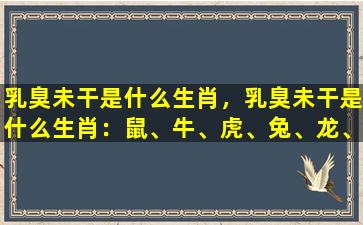 乳臭未干是什么生肖，乳臭未干是什么生肖：鼠、牛、虎、兔、龙、蛇、马、羊、猴、鸡、狗、猪