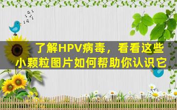 了解HPV病毒，看看这些小颗粒图片如何帮助你认识它