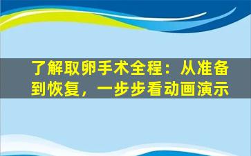 了解取卵手术全程：从准备到恢复，一步步看动画演示