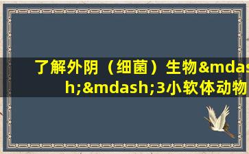 了解外阴（细菌）生物——3小软体动物contagiosum