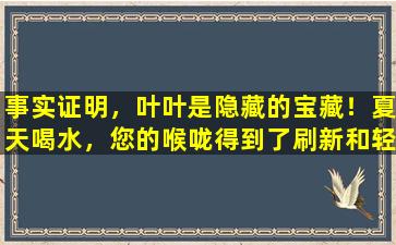 事实证明，叶叶是隐藏的宝藏！夏天喝水，您的喉咙得到了刷新和轻便的