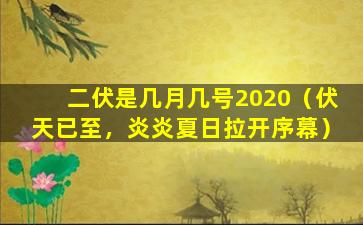 二伏是几月几号2020（伏天已至，炎炎夏日拉开序幕）