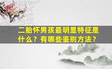 二胎怀男孩最明显特征是什么？有哪些鉴别方法？