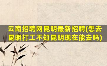 云南招聘网昆明最新招聘(想去昆明打工不知昆明现在能去吗)