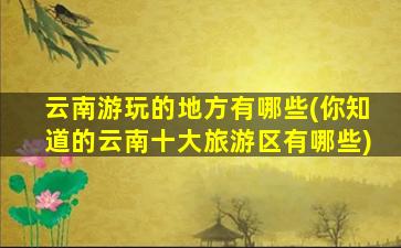 云南游玩的地方有哪些(你知道的云南十大旅游区有哪些)