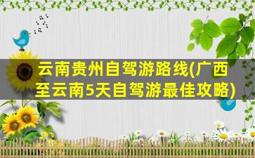 云南贵州自驾游路线(广西至云南5天自驾游最佳攻略)