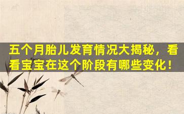 五个月胎儿发育情况大揭秘，看看宝宝在这个阶段有哪些变化！
