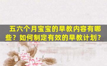 五六个月宝宝的早教内容有哪些？如何制定有效的早教计划？