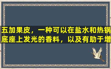 五加果皮，一种可以在盐水和热锅底座上发光的香料，以及有助于增加香气的合理组合