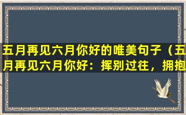 五月再见六月你好的唯美句子（五月再见六月你好：挥别过往，拥抱美好）