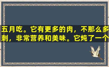 五月吃。它有更多的肉，不那么多刺，非常营养和美味。它炖了一个锅，喜欢整个家庭。