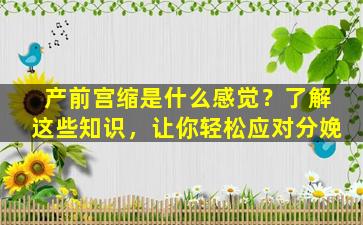 产前宫缩是什么感觉？了解这些知识，让你轻松应对分娩