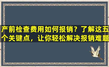 产前检查费用如何报销？了解这五个关键点，让你轻松解决报销难题！