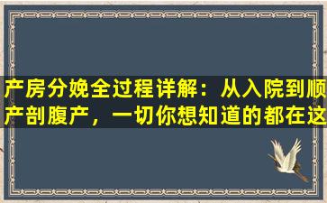 产房分娩全过程详解：从入院到顺产剖腹产，一切你想知道的都在这里！