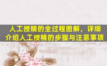 人工授精的全过程图解，详细介绍人工授精的步骤与注意事项