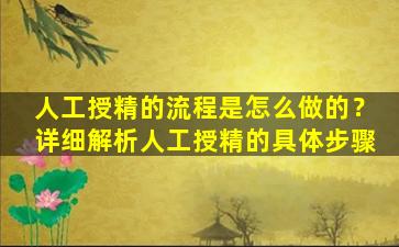 人工授精的流程是怎么做的？详细解析人工授精的具体步骤