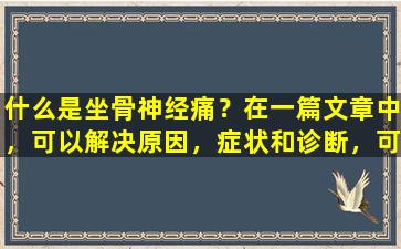 什么是坐骨神经痛？在一篇文章中，可以解决原因，症状和诊断，可以预防5种方法！
