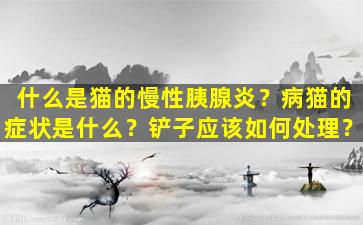 什么是猫的慢性胰腺炎？病猫的症状是什么？铲子应该如何处理？