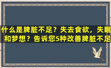 什么是脾脏不足？失去食欲，失眠和梦想？告诉您5种改善脾脏不足的方法