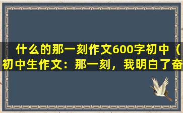 什么的那一刻作文600字初中（初中生作文：那一刻，我明白了奋斗的意义）