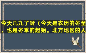 今天几九了呀（今天是农历的冬至，也是冬季的起始。北方地区的人们纷纷裹紧衣裳，期待着春天的到来。）