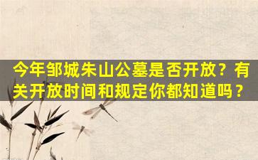 今年邹城朱山公墓是否开放？有关开放时间和规定你都知道吗？