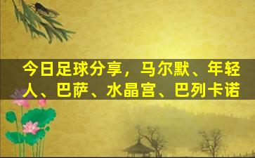 今日足球分享，马尔默、年轻人、巴萨、水晶宫、巴列卡诺